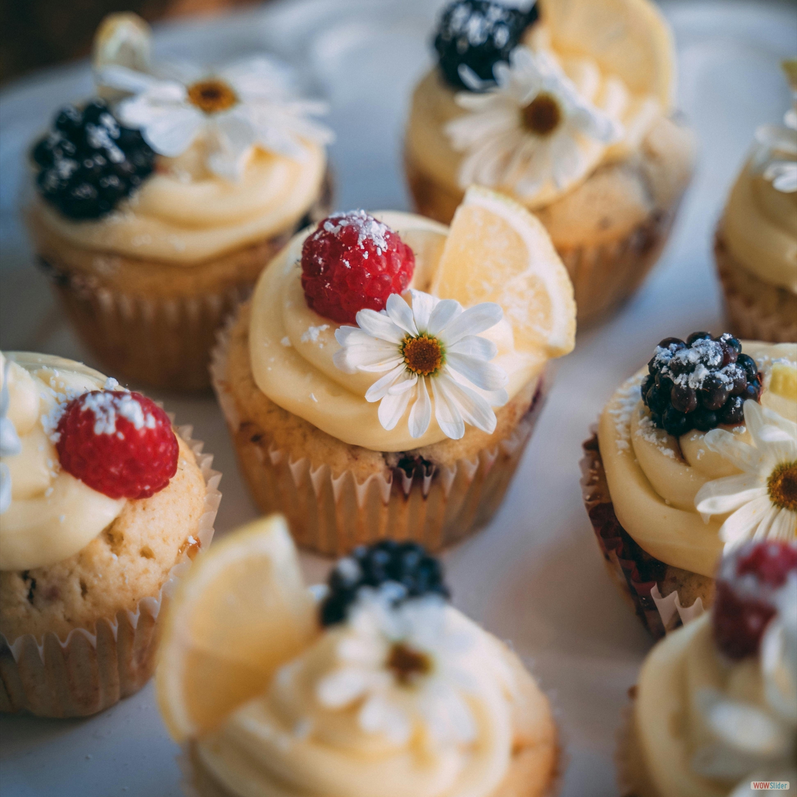 delicious cupcakes